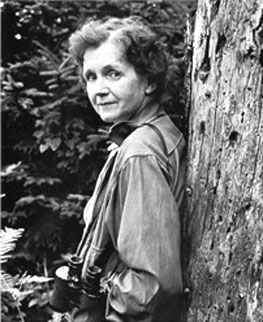 Rachel Carson:  DDT Ban
